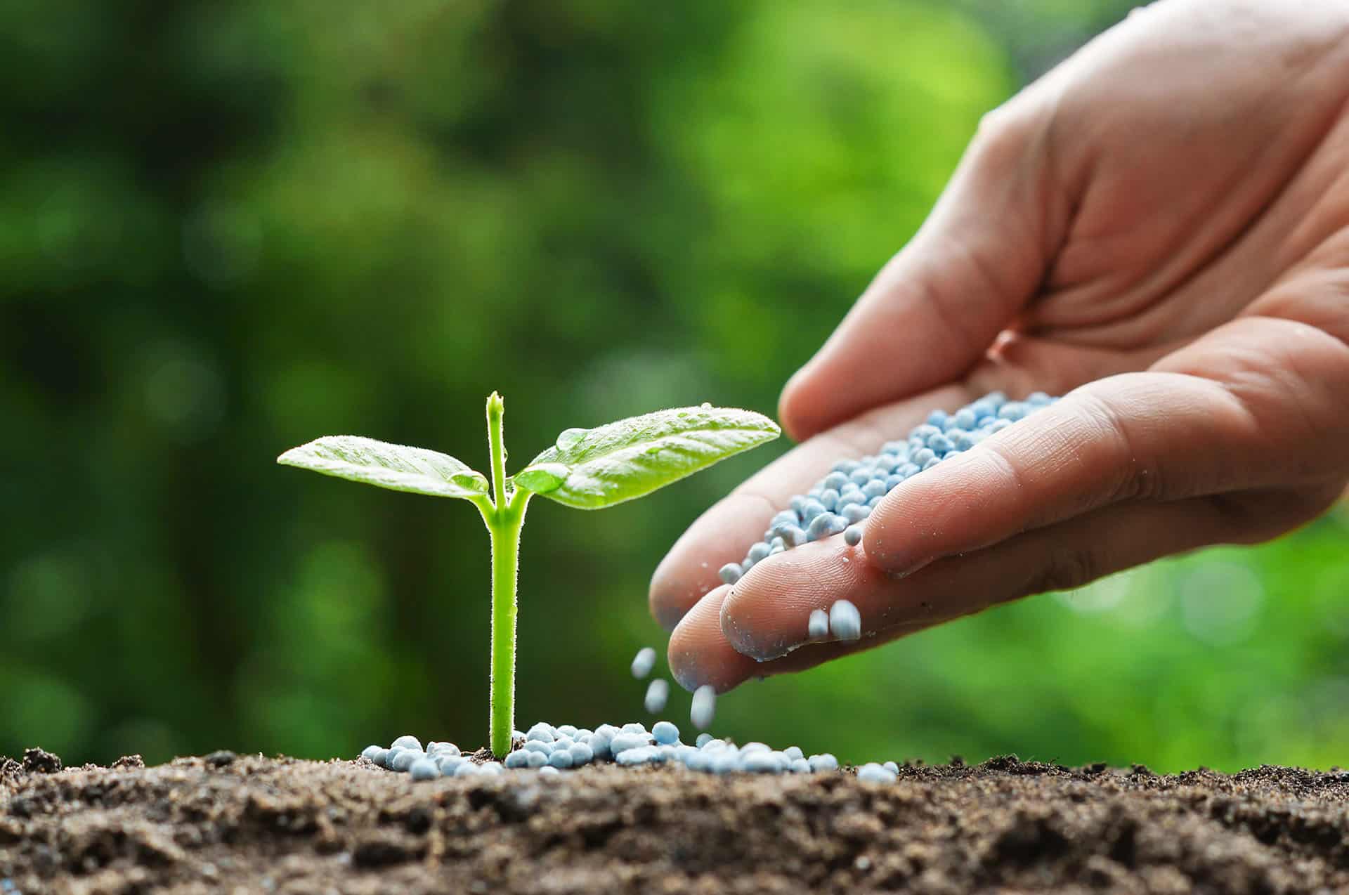 کودهای شیمیایی بهتر است یا کودهای ارگانیک؟