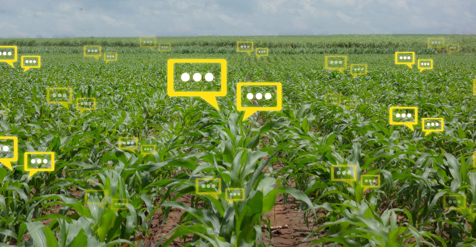 کاربرد حسگرها در کشاورزی دقیق