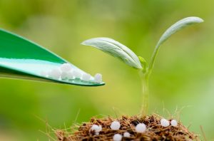 کودهای مکمل چگونه عمل میکنند؟