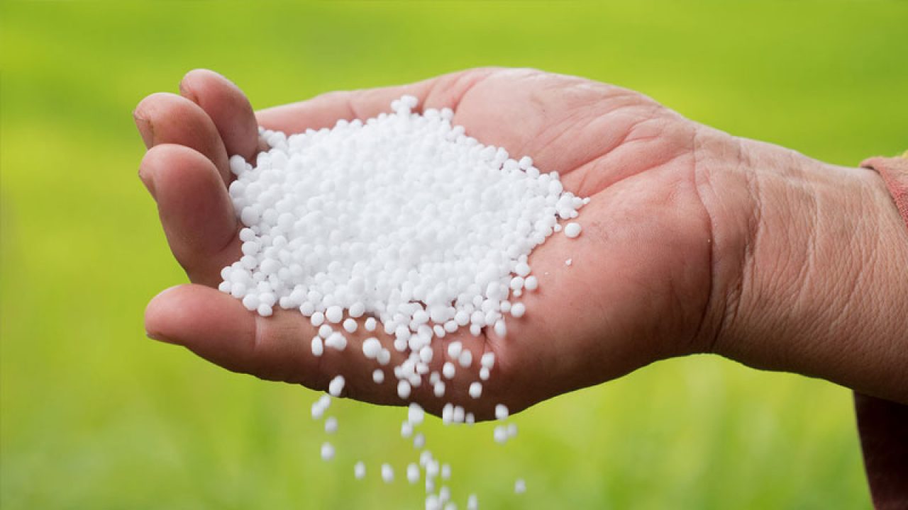 کوددهی مکمل چگونه است
