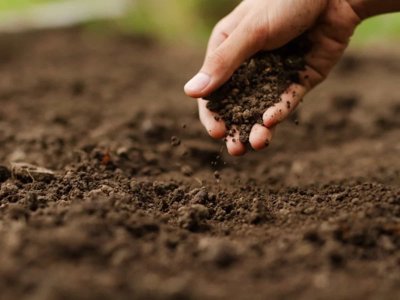 براورد روطبت خاک به کمک تصاویر ماهواره ای