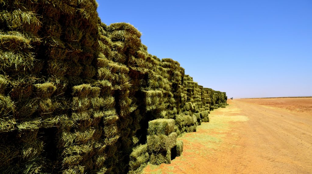 بسته بندی 