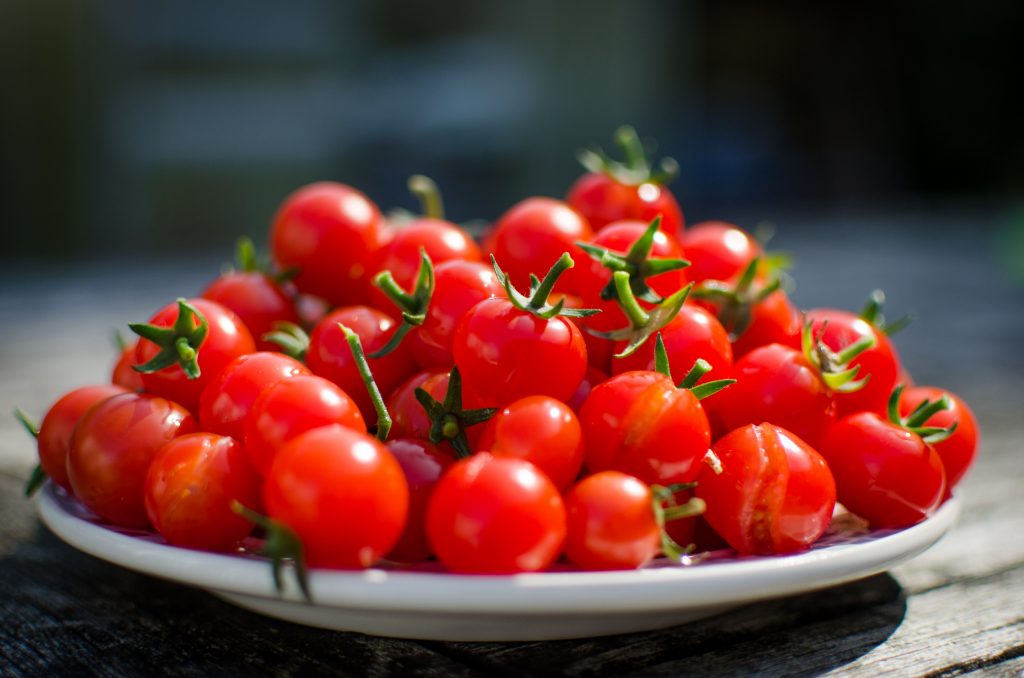 معرفی ارقام گوجه فرنگی