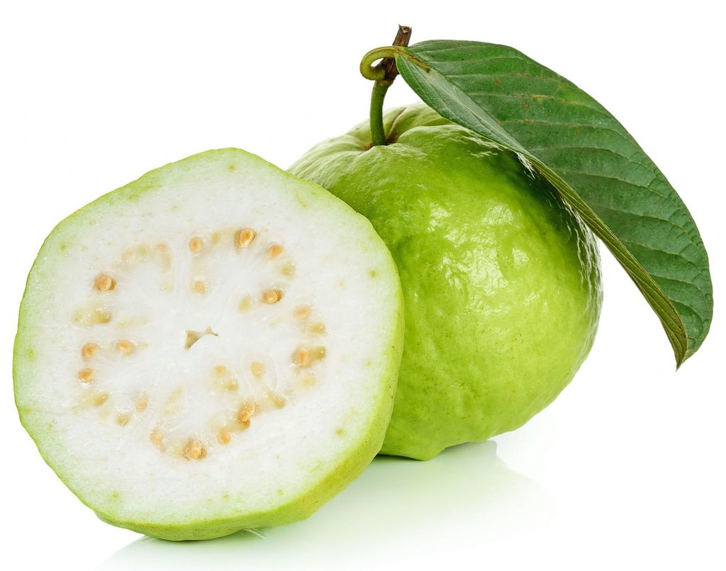 گیاه گواوا
