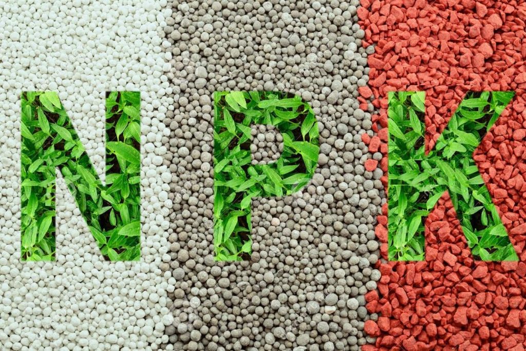 نیتروژن، فسفر، پتاسیم