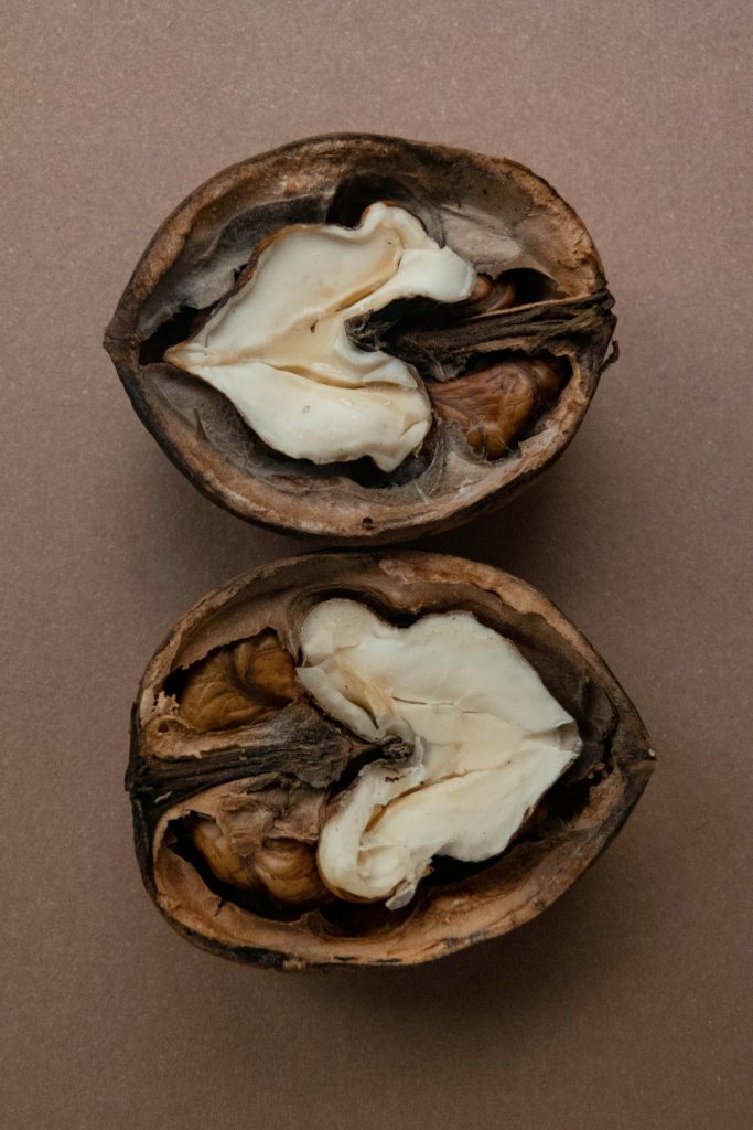 سیاه شدن مغز گردو