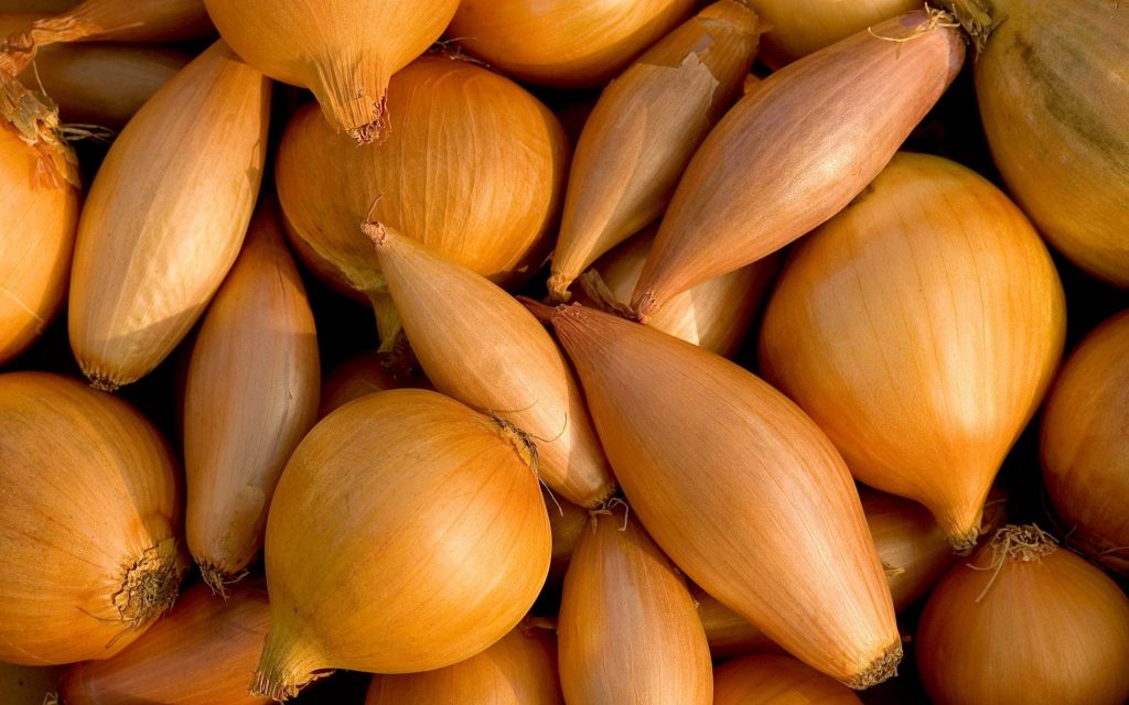کشت موسیر