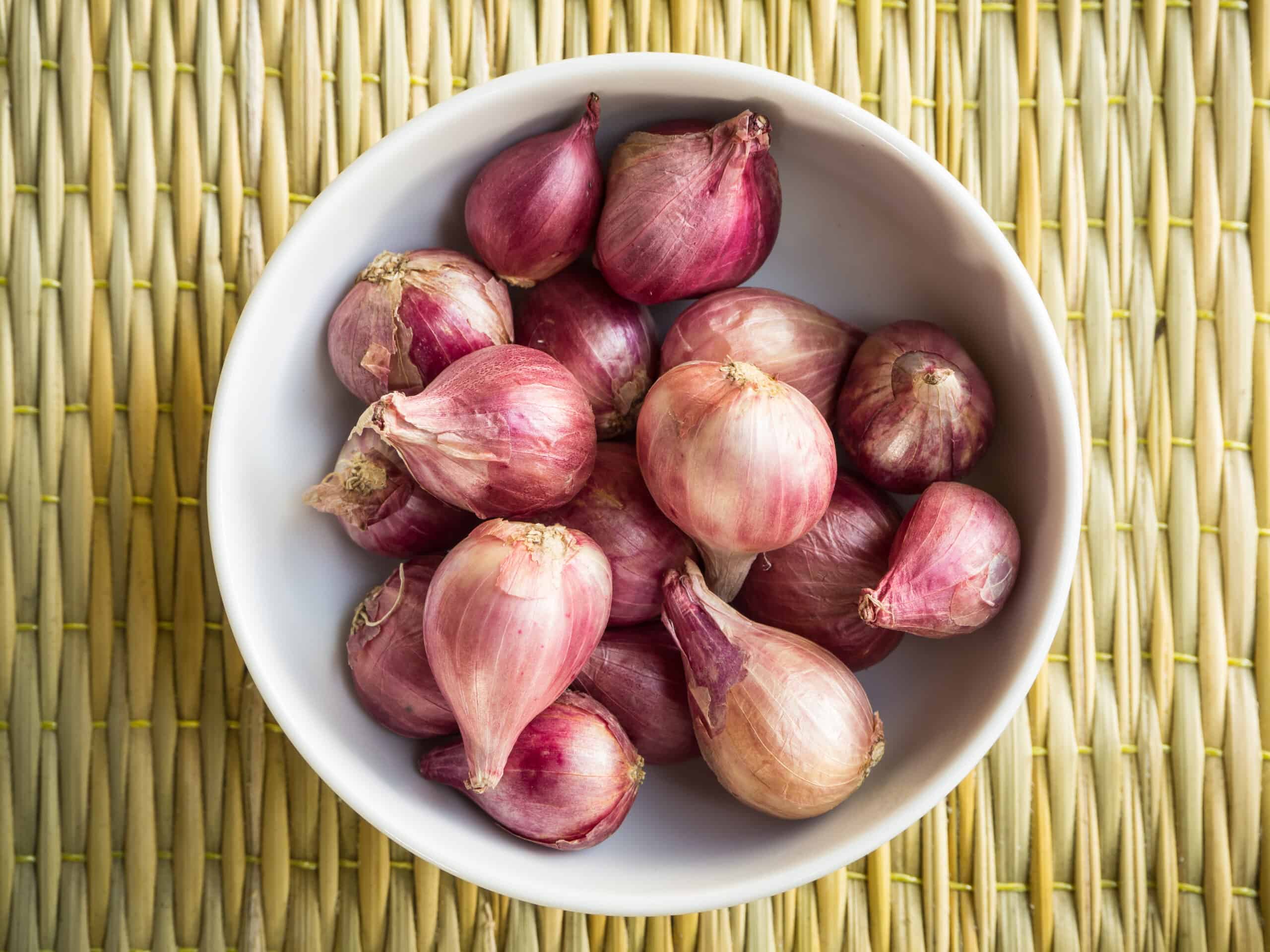 چطور موسیر بکاریم؟