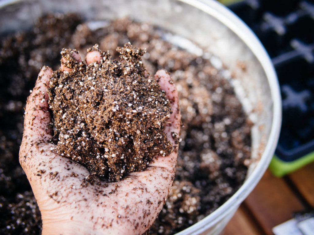 شناسایی خاک مناسب گیاهان خانگی