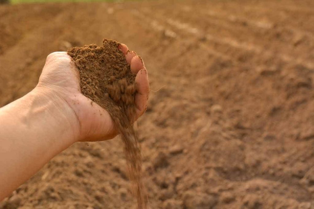 چطور از هیومیک اسید استفاده کنیم؟
