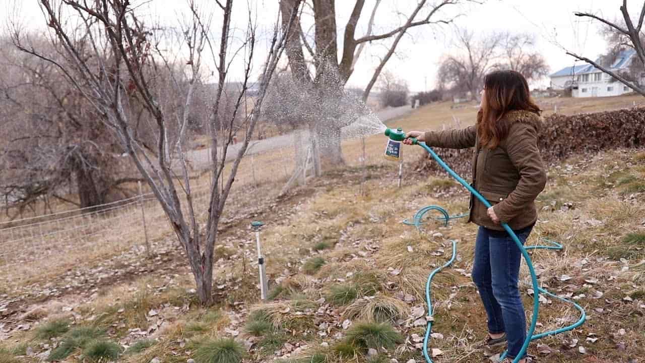 راهنمای کامل سمپاشی و روغن پاشی زمستانه