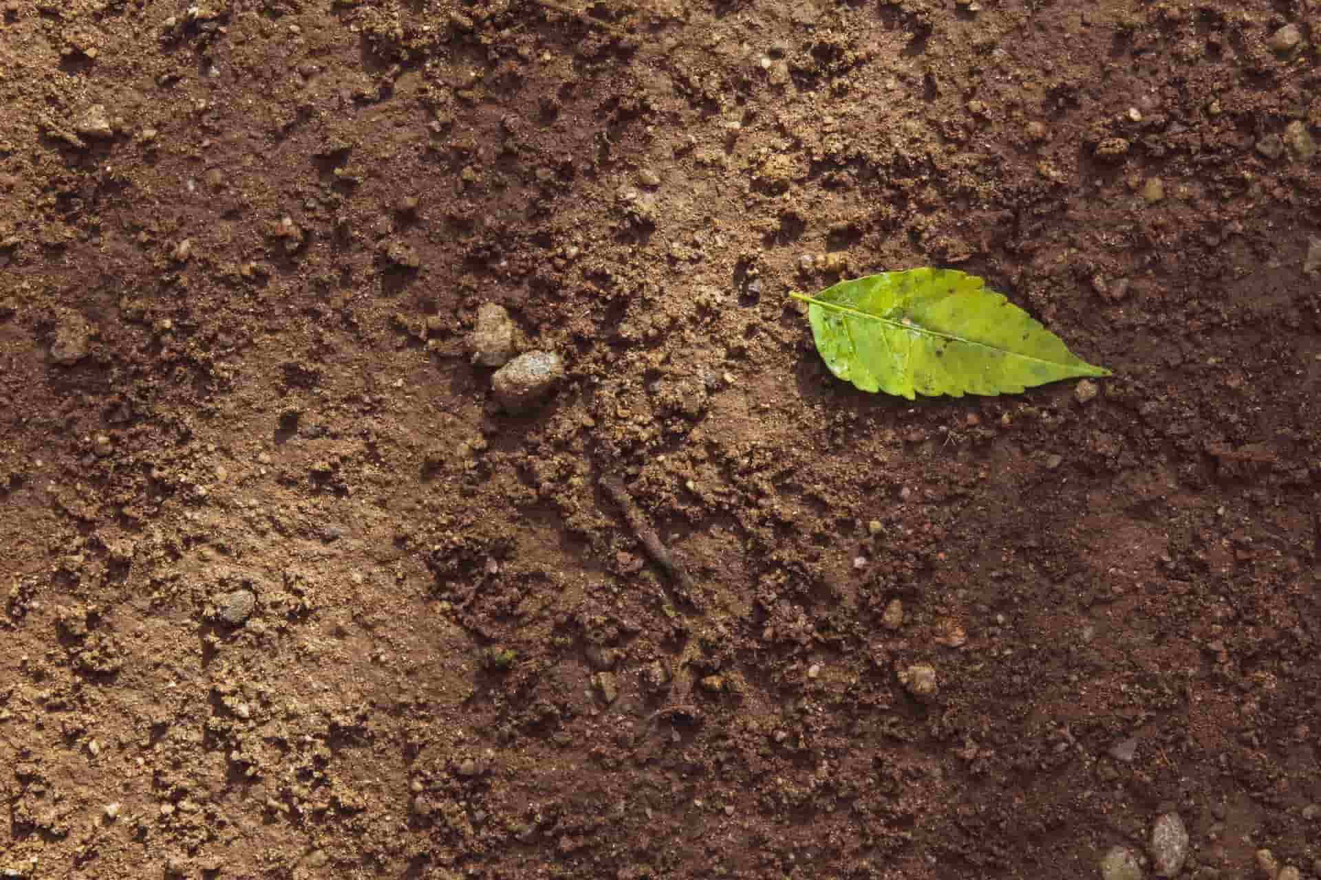 پی اچ خاک چیست؟