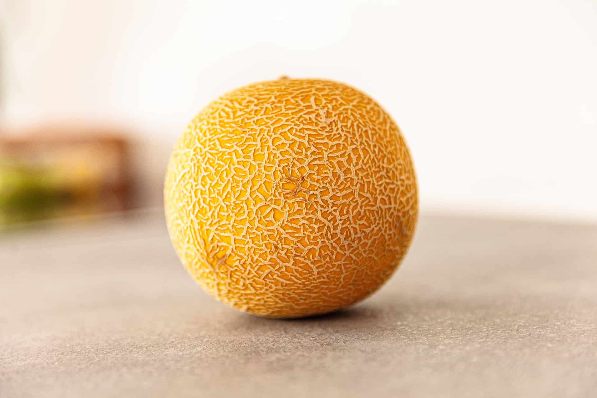 راهنمای کاشت خربزه