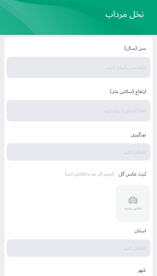 مرحله دوم