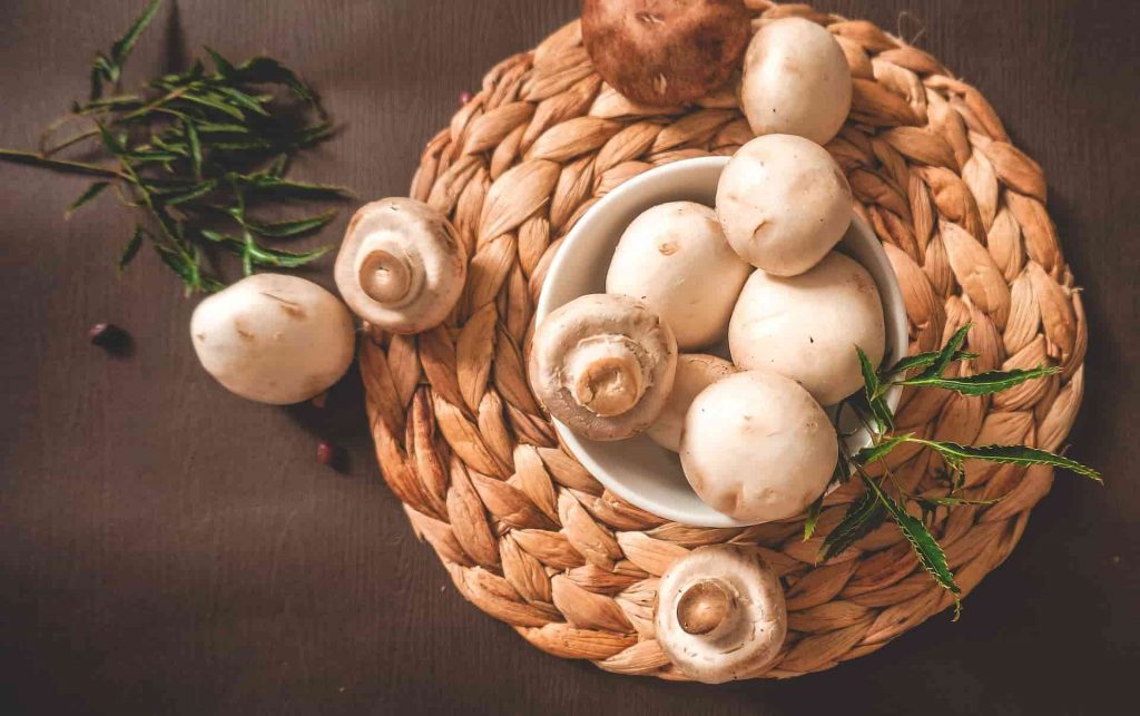 انواع قارچ گلخانه ای