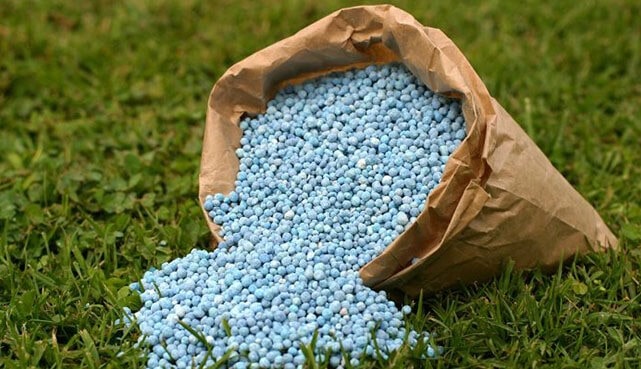 چه کودی مناسب است؟